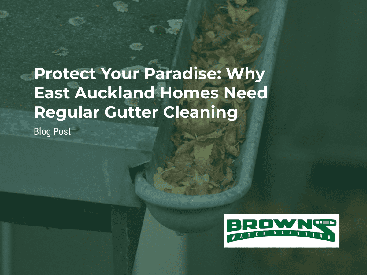 Protect Your Paradise: Why East Auckland Homes Need Regular Gutter Cleaning